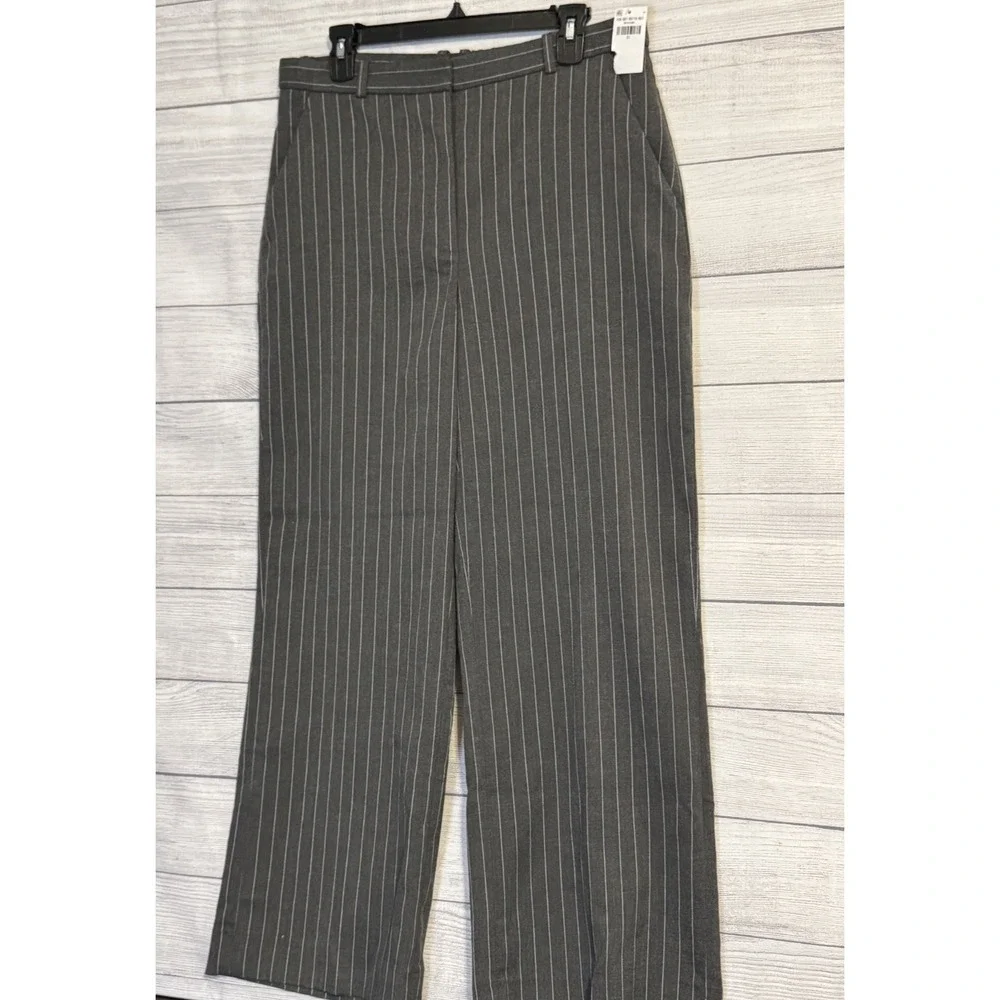 Abercrombie & Fitch Gray Pinstripe Pants Women's 31 Hook Zip NWT